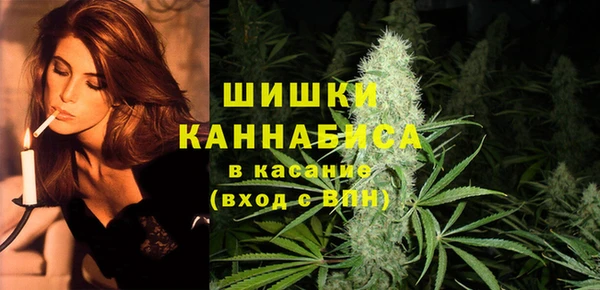 ешки Осинники