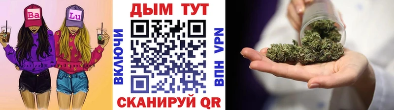 Бошки марихуана THC 21%  где купить наркоту  Инсар 